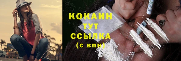 ГАЛЛЮЦИНОГЕННЫЕ ГРИБЫ Бородино