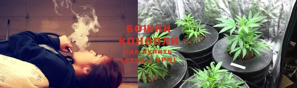 spice Богородицк