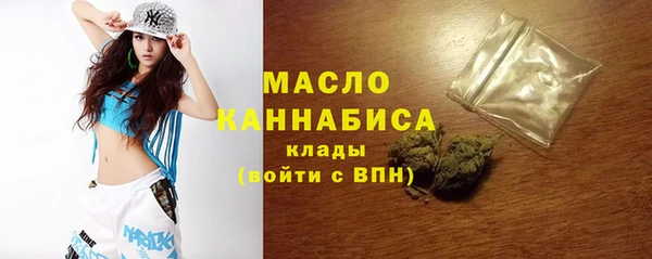 spice Богородицк