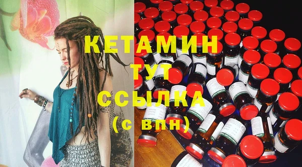 spice Богородицк