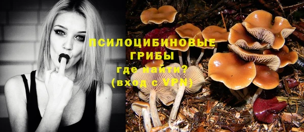 2c-b Богданович
