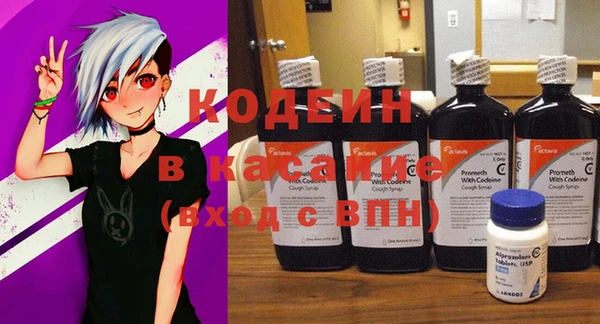 ГАЛЛЮЦИНОГЕННЫЕ ГРИБЫ Бородино