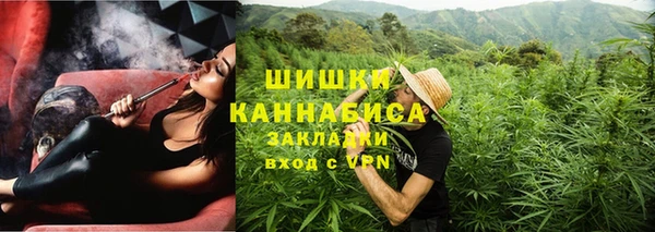 ГАЛЛЮЦИНОГЕННЫЕ ГРИБЫ Бородино