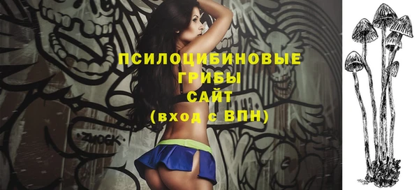 spice Богородицк