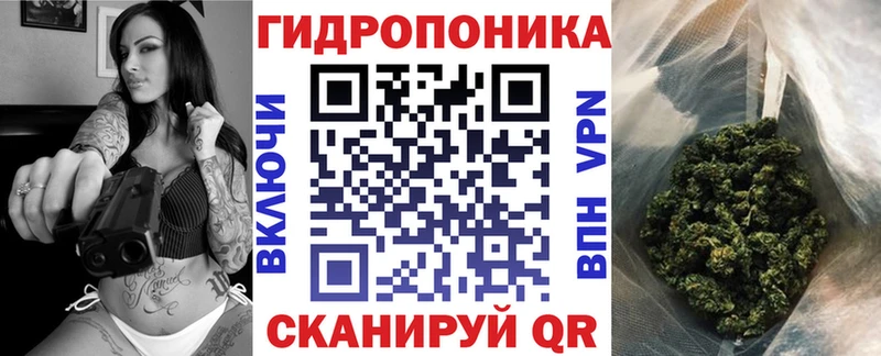 Каннабис семена цена Ковдор